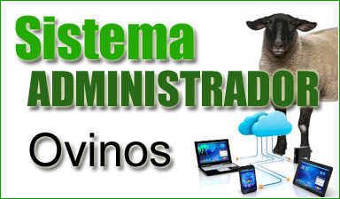 Software para ovinos 