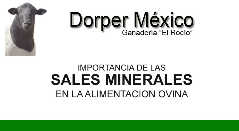 Sales minerales