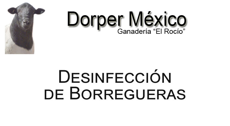 Desinfeccion borregueras