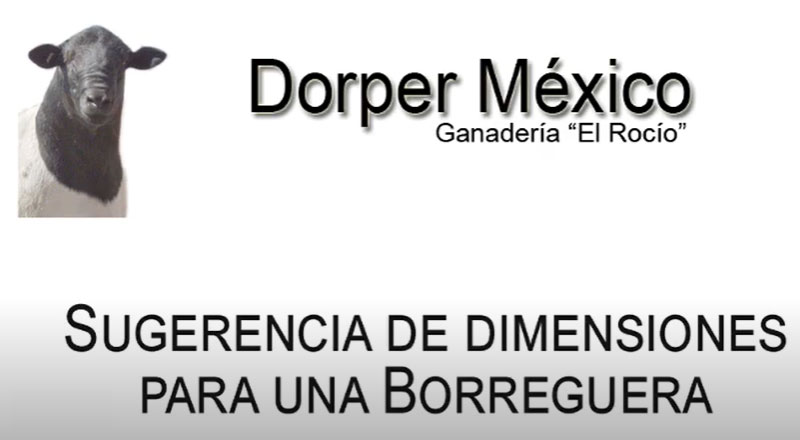 Diseño borregueras