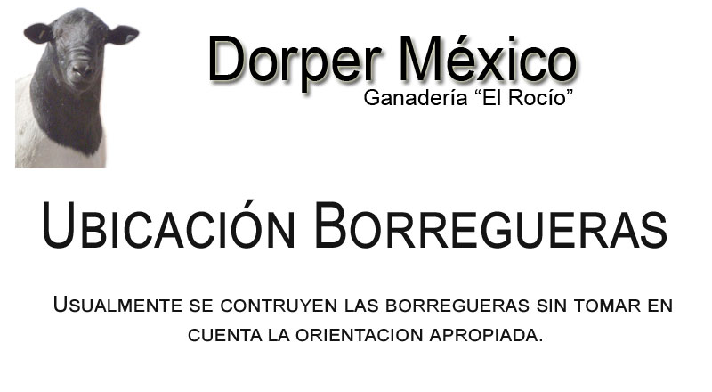 Ubiicacion de borreguera